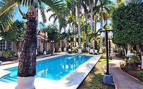 Tulipanes Cancun